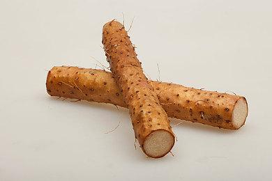 《宝可梦传说：阿尔宙斯》宣传片 展示新形态与角色